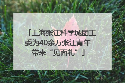 上海张江科学城团工委为40余万张江青年带来“见面礼”