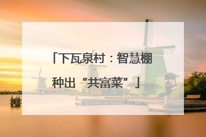 下瓦泉村：智慧棚种出“共富菜”