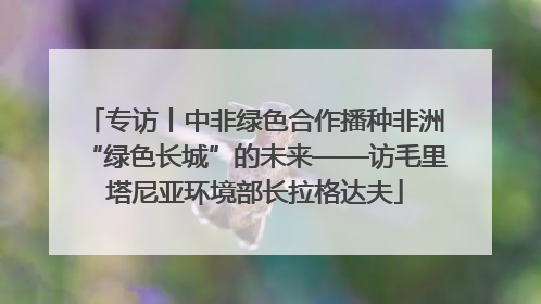专访丨中非绿色合作播种非洲“绿色长城”的未来——访毛里塔尼亚环境部长拉格达夫