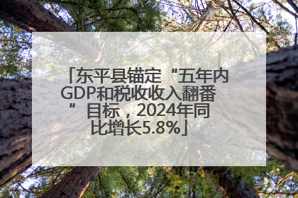东平县锚定“五年内GDP和税收收入翻番”目标，2024年同比增长5.8%