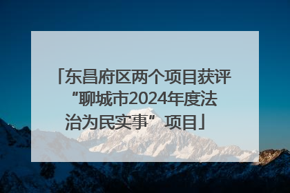 东昌府区两个项目获评“聊城市2024年度法治为民实事”项目