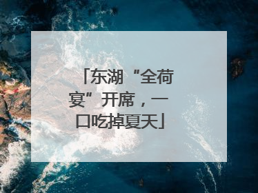 东湖“全荷宴”开席，一口吃掉夏天
