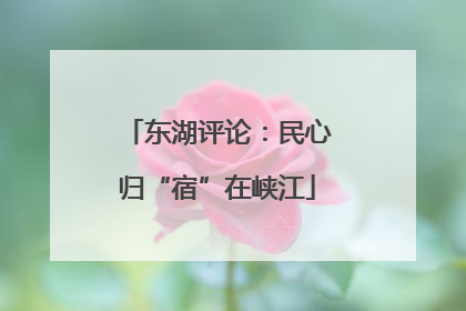 东湖评论：民心归“宿”在峡江