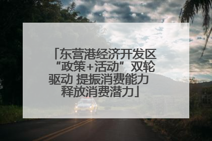 东营港经济开发区“政策+活动”双轮驱动 提振消费能力 释放消费潜力
