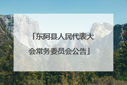 东阿县人民代表大会常务委员会公告