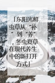 东阳光鲜虫草从“补”到“养”，冬虫夏草在现代养生中的新打开方式