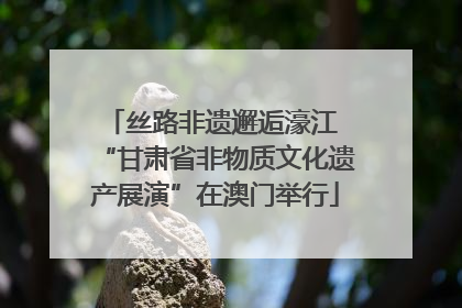 丝路非遗邂逅濠江 “甘肃省非物质文化遗产展演”在澳门举行