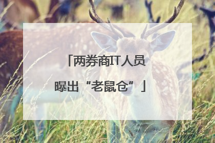 两券商IT人员曝出“老鼠仓”