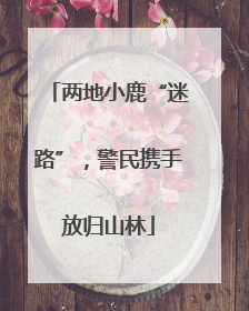 两地小鹿“迷路”，警民携手放归山林