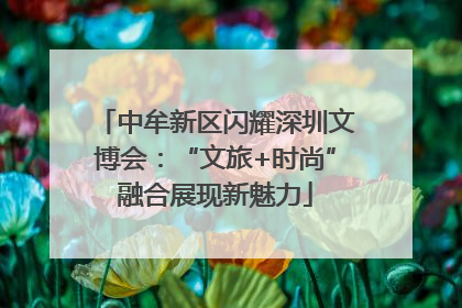 中牟新区闪耀深圳文博会：“文旅+时尚”融合展现新魅力