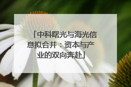 中科曙光与海光信息拟合并：资本与产业的双向奔赴