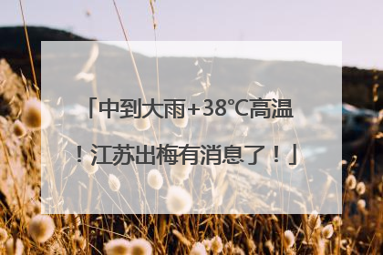 中到大雨+38℃高温！江苏出梅有消息了！