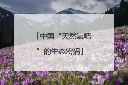 中国“天然氧吧”的生态密码