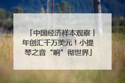 中国经济样本观察丨年创汇千万美元！小提琴之音“响”彻世界