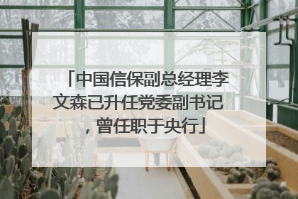中国信保副总经理李文森已升任党委副书记，曾任职于央行