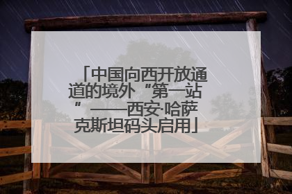 中国向西开放通道的境外“第一站”——西安·哈萨克斯坦码头启用
