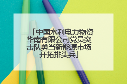中国水利电力物资华南有限公司党员突击队勇当新能源市场开拓排头兵