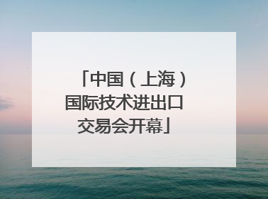 中国（上海）国际技术进出口交易会开幕
