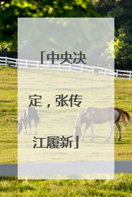 中央决定，张传江履新