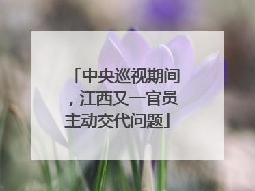 中央巡视期间，江西又一官员主动交代问题