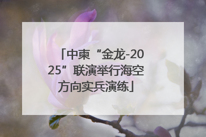 中柬“金龙-2025”联演举行海空方向实兵演练
