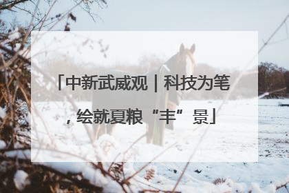 中新武威观｜科技为笔，绘就夏粮“丰”景