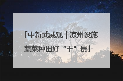 中新武威观｜凉州设施蔬菜种出好“丰”景