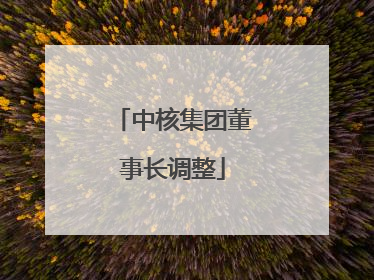 中核集团董事长调整