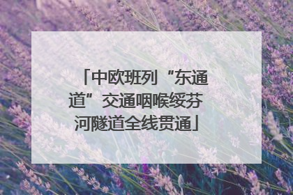 中欧班列“东通道”交通咽喉绥芬河隧道全线贯通