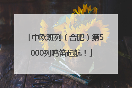 中欧班列（合肥）第5000列鸣笛起航！