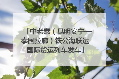 中老泰（昆明安宁—泰国拉廊）铁公海联运国际货运列车发车