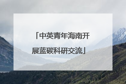 中英青年海南开展蓝碳科研交流