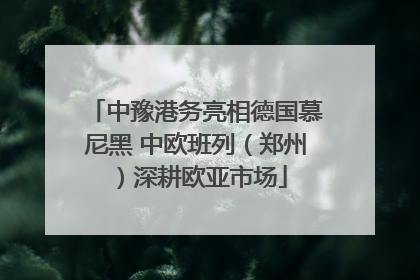 中豫港务亮相德国慕尼黑 中欧班列（郑州）深耕欧亚市场