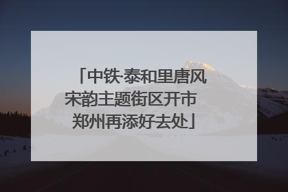 中铁·泰和里唐风宋韵主题街区开市 郑州再添好去处