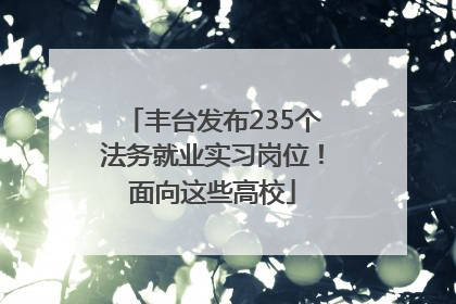 丰台发布235个法务就业实习岗位！面向这些高校