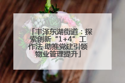 丰泽东湖街道：探索创新“1+4”工作法 助推党建引领物业管理提升