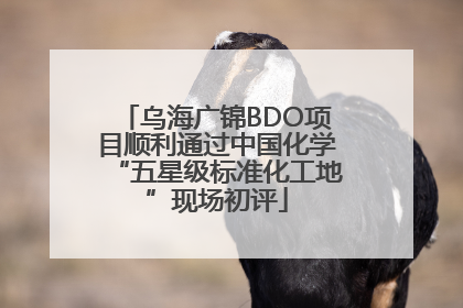 乌海广锦BDO项目顺利通过中国化学“五星级标准化工地”现场初评