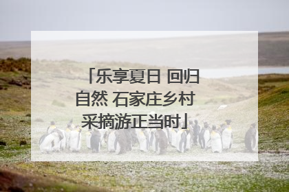 乐享夏日 回归自然 石家庄乡村采摘游正当时