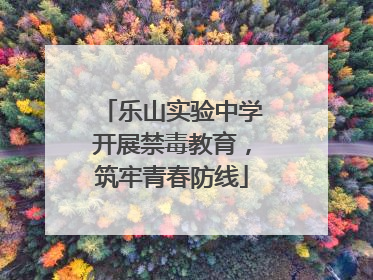 乐山实验中学开展禁毒教育，筑牢青春防线