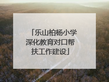 乐山柏杨小学深化教育对口帮扶工作建设