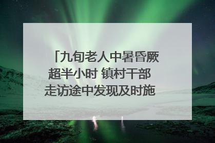 九旬老人中暑昏厥超半小时 镇村干部走访途中发现及时施救｜看见正能量