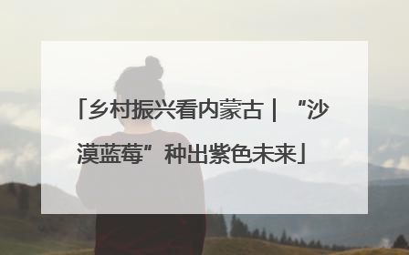 乡村振兴看内蒙古｜“沙漠蓝莓”种出紫色未来
