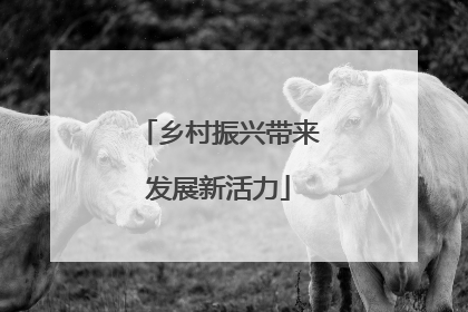 乡村振兴带来发展新活力
