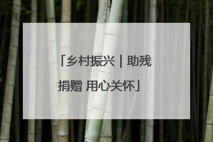 乡村振兴｜助残捐赠 用心关怀