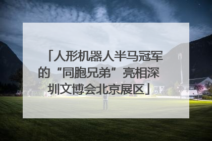 人形机器人半马冠军的“同胞兄弟”亮相深圳文博会北京展区