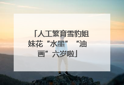 人工繁育雪豹姐妹花“水墨”“油画”六岁啦