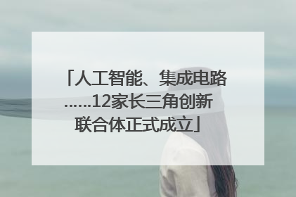 人工智能、集成电路……12家长三角创新联合体正式成立