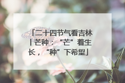 二十四节气看吉林丨芒种：“芒”着生长，“种”下希望