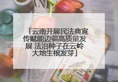 云南开展民法典宣传赋能边疆高质量发展 法治种子在云岭大地生根发芽