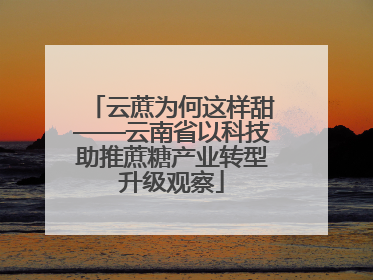 云蔗为何这样甜——云南省以科技助推蔗糖产业转型升级观察